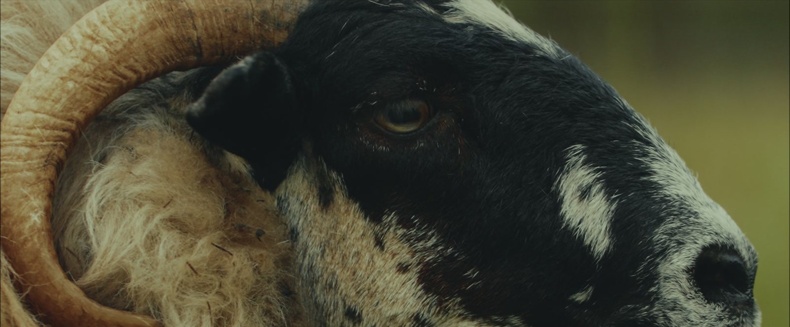 Diamond House Media film still